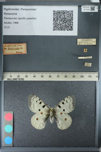 Media type: image;   Entomology 175398